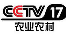 cctv2在线直播电视,全方位覆盖，精彩内容不间断
