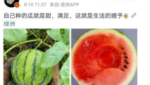 娱乐圈的瓜可以吃,揭秘明星幕后故事
