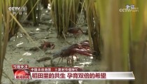 ）？产物中央-对夹阀门-速装阀门（每月只还100元本金！姑苏打响天低沉月供第一枪消重月供太原会跟进吗
