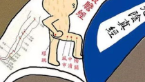 用力点,探寻人类力量之源