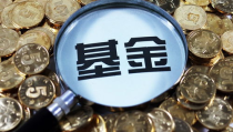 200007基金,业绩、风险与投资策略