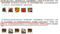 吃网红瓜的软件,跟随热门软件吃遍最新瓜果